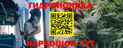 мдпв Вязьма