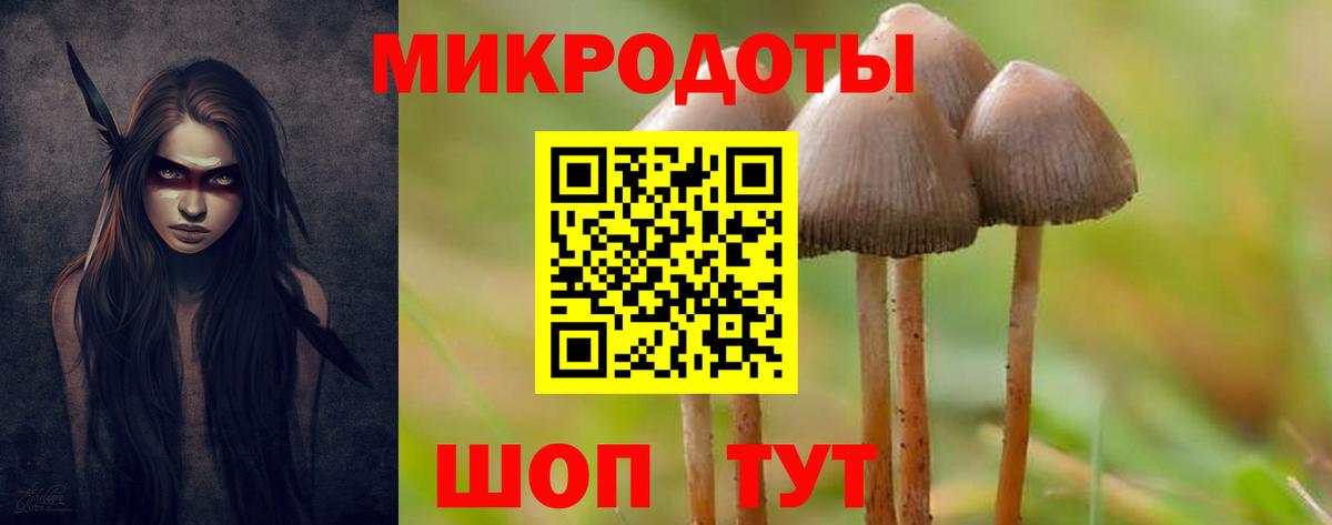Псилоцибиновые грибы GOLDEN TEACHER Каменск-Шахтинский